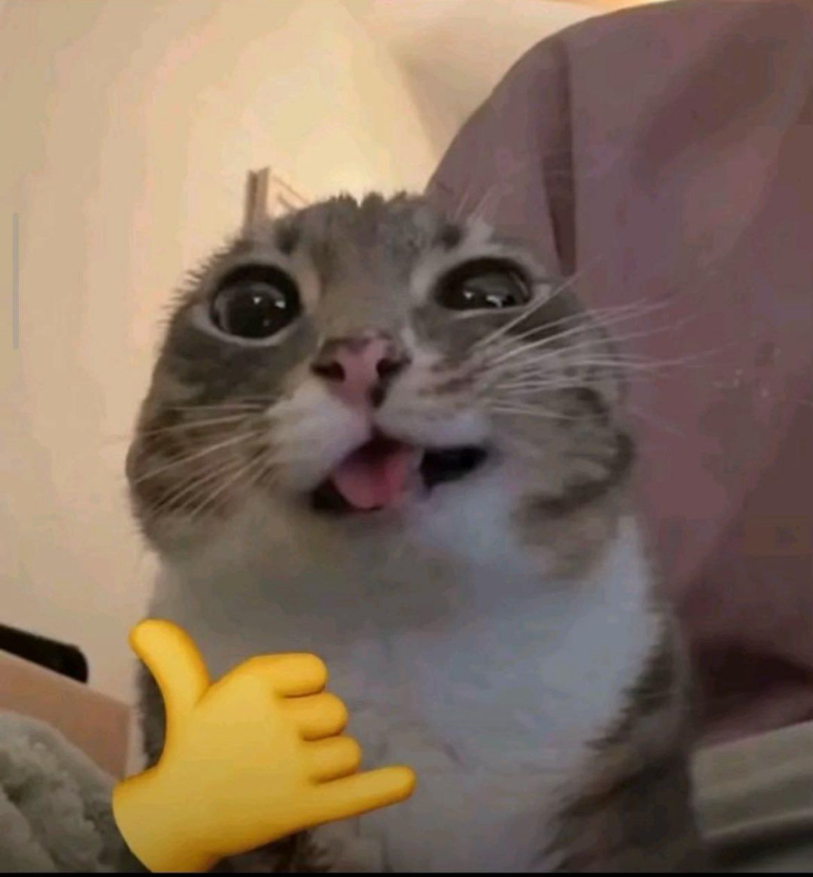 Lolly added a photo of their purchase