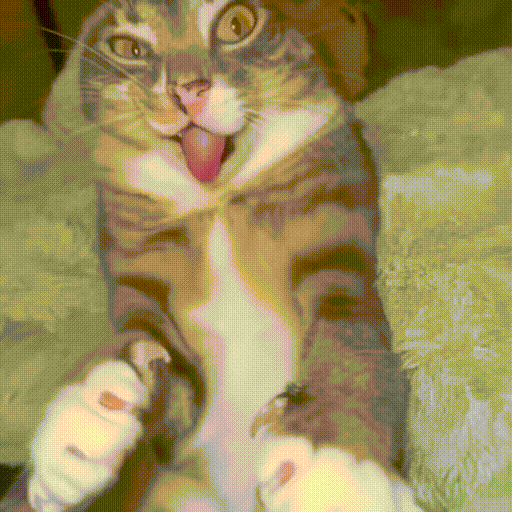 Lolly added a photo of their purchase