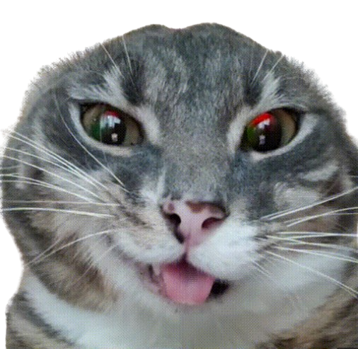 Lolly added a photo of their purchase