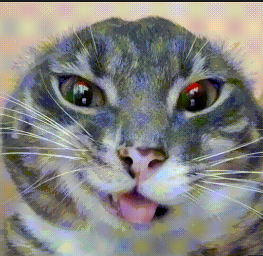 Lolly added a photo of their purchase