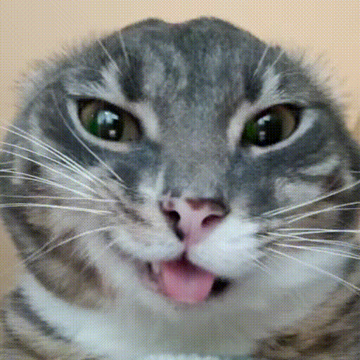 ColokSGp Seo-ColokSGp